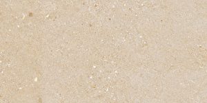 Gạch Ý MỸ 60x120 mã F61245002R