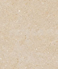 Gạch Ý MỸ 60x120 mã F61245002R