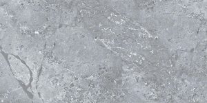 Gạch Ý MỸ 60x120 mã F61248003R