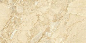 Gạch Ý MỸ 60x120 mã F61248006R