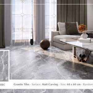 Gạch Ý MỸ 60x60 F65028RC