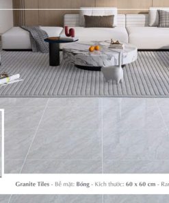 Gạch Ý MỸ 60x60 F68059R