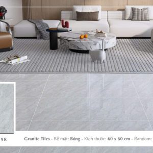 Gạch Ý MỸ 60x60 F68059R