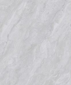 Gạch Ý MỸ 60x60 F68059R