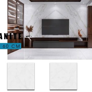 Gạch Ý MỸ 60x60 mã EF69005R