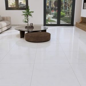 Gạch Ý MỸ 60x60 mã EF69005R