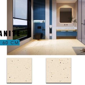 Gạch Ý MỸ 60x60 mã F65022RH