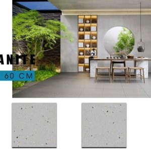 Gạch Ý MỸ 60x60 mã F65023RH