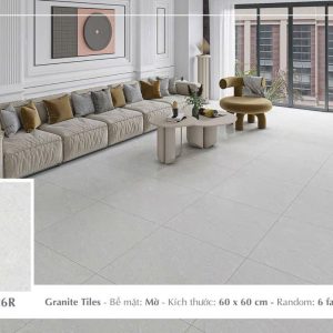 Gạch Ý MỸ 60x60 mã F65026R