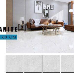 Gạch Ý MỸ 60x60 mã F68049R