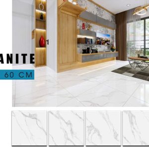 Gạch Ý MỸ 60x60 mã F68050R