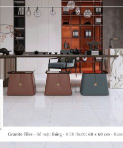Gạch Ý MỸ 60x60 mã F68060R