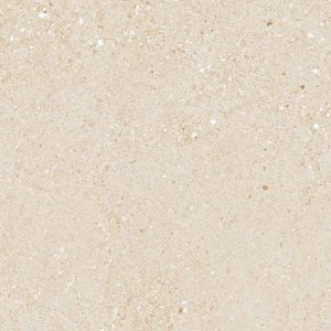 Gạch Ý MỸ 60x60 mã GH F65002R
