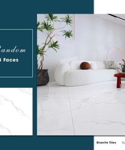 Gạch Ý MỸ 80x80 mã F88007R