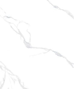 Gạch Ý MỸ 80x80 mã F88007R