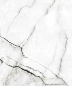 Gạch đồng tâm 100x100 mã 100DONGVAN004-FP-H+