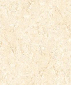Gạch đồng tâm 80x80 mã 8080FANSIPAN004-FP-H+