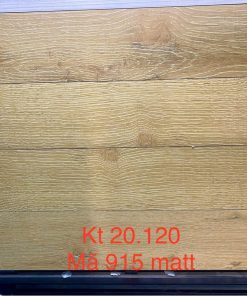 Gạch giả gỗ 20x120 Ấn Độ mã 915 men matt (1)