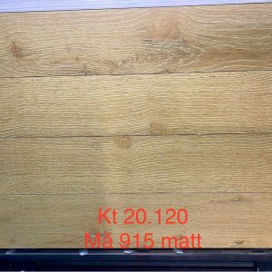 Gạch giả gỗ 20x120 Ấn Độ mã 915 men matt (1)