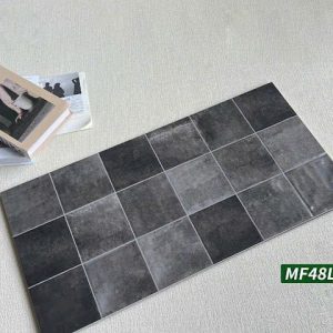 Gạch trang trí 40x80 mã MF48L05F