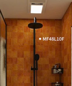 Gạch trang trí 40x80 mã MF48L10F