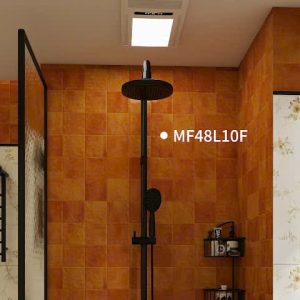 Gạch trang trí 40x80 mã MF48L10F