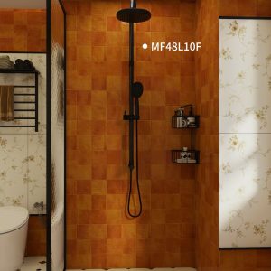 Gạch trang trí 40x80 mã MF48L10F