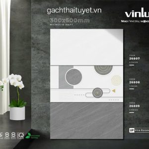 Gạch vitto 30x60 mã 26807