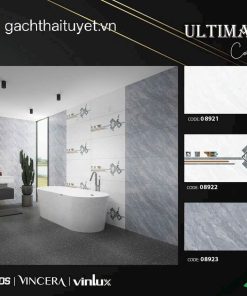 Gạch vitto 40x80 mã 08921