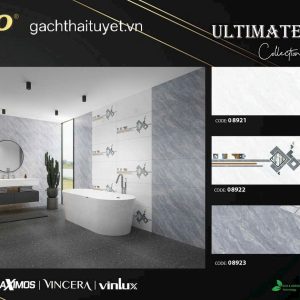 Gạch vitto 40x80 mã 08921