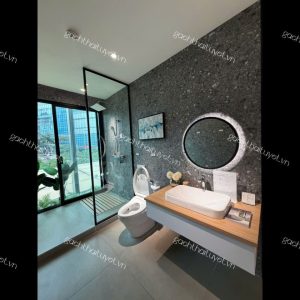 Gương phòng tắm ToTo mã YM606FG
