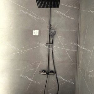 Sen cây nhiệt độ + Bát sen massage 3 chế độ ToTo mã TBW08405A