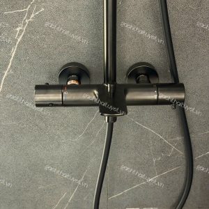 Sen cây nhiệt độ + Bát sen massage 3 chế độ ToTo mã TBW08405A