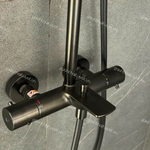 Sen cây nhiệt độ + Bát sen massage 3 chế độ ToTo mã TBW08405A