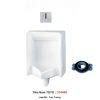 Tiểu Nam TOTO UT445H