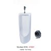 Tiểu Nam TOTO UT500T