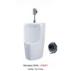 Tiểu Nam TOTO UT557T