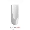 Tiểu Nam TOTO UT901H