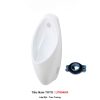 Tiểu Nam TOTO UT904HR (2)
