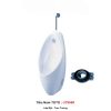 Tiểu Nam TOTO UT904R