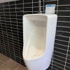 Tiểu Nam van xả cảm ứng INAX AU-431VR