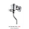 Van Tiểu Nam TOTO T60S