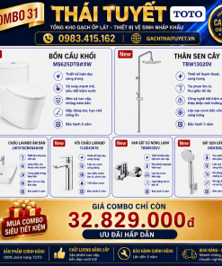 Combo thiết bị vệ sinh TOTO 31
