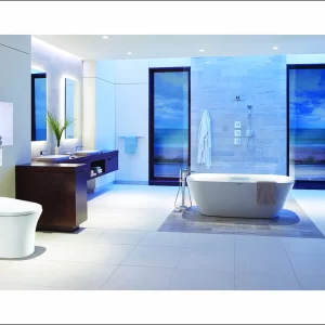 Thiết bị vệ sinh Viglacera