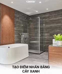 Thiết bị vệ sinh CAESAR