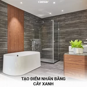 Thiết bị vệ sinh CAESAR