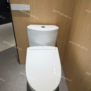 Bàn cầu hai khối nắp điện tử ToTo mã CS838CDW25
