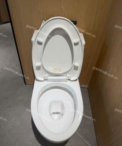 Bàn cầu hai khối nắp đóng êm ToTo mã CS769DRT10