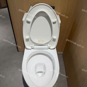 Bàn cầu hai khối nắp đóng êm ToTo mã CS769DRT10