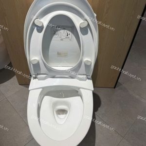 Bàn cầu hai khối nắp đóng êm ToTo mã CS838DE2